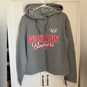 Wisconsin badgers crop sweatshirt